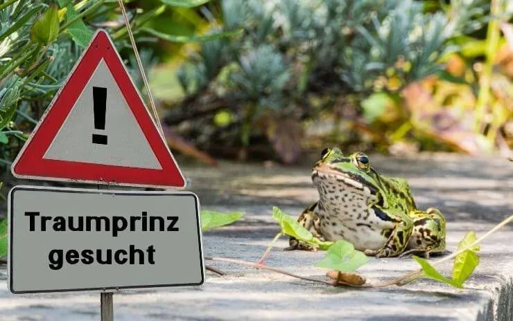 Traumprinz oder Frosch?, Männer haben Stärken und Schwächen. (Genau wie wir Frauen.)