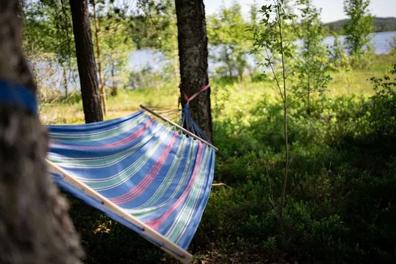 Hängematte zwischen Bäumen am See
