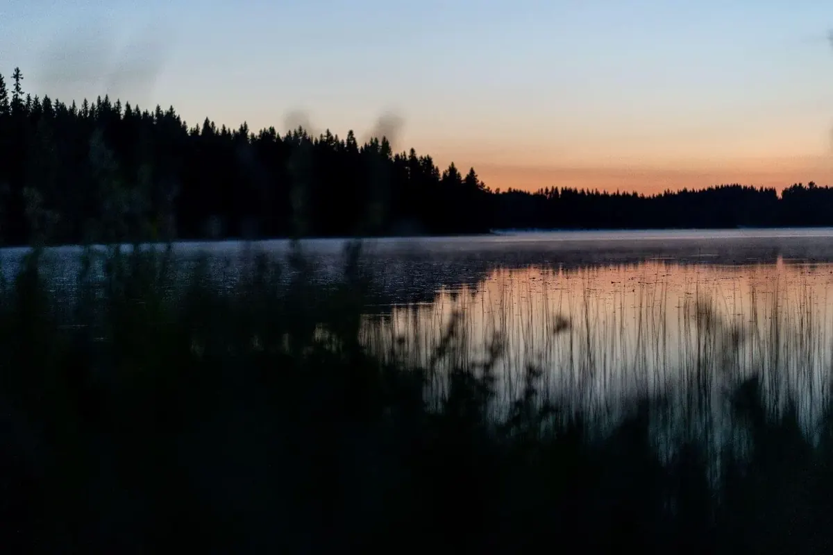 See in der Dämmerung mit Waldsilhouette