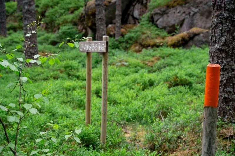 Wegmarkierung im Wald mit orangefarbenem Pfosten