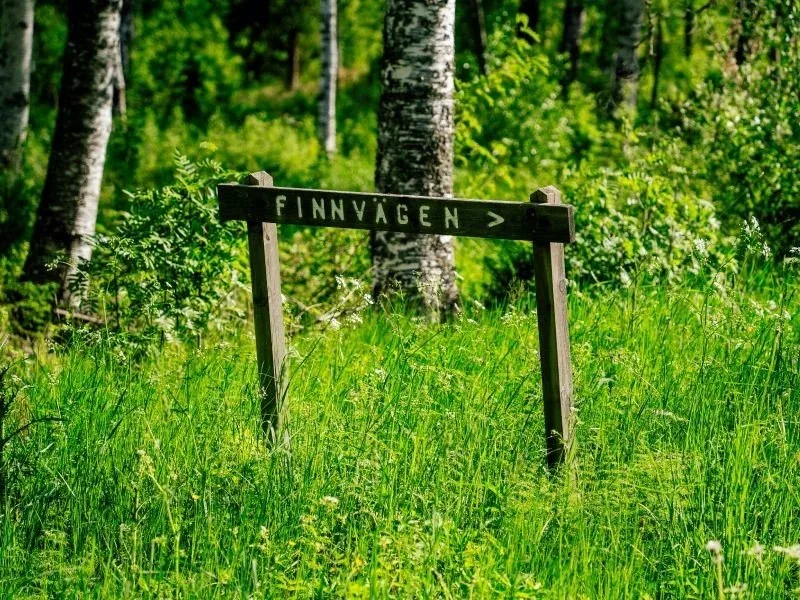 Holzschild „Finnvägen“ an einem Waldweg