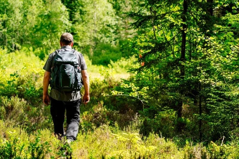 Wanderer mit Rucksack im Wald
