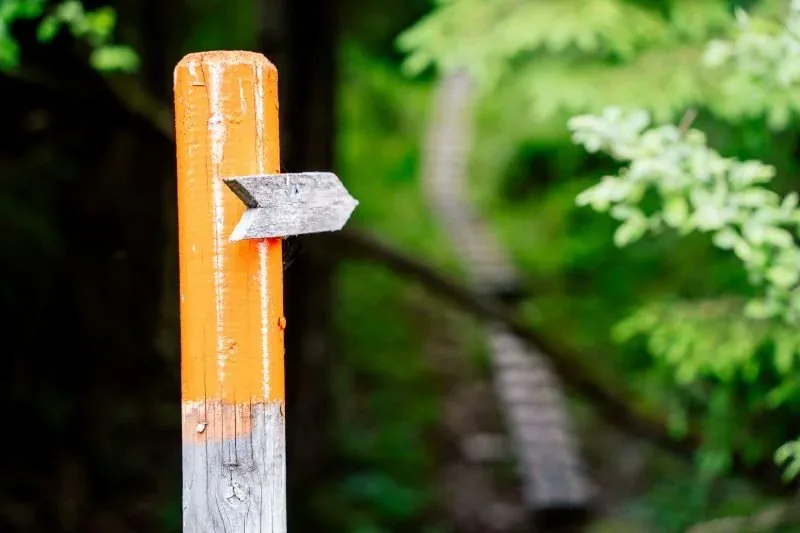 Orangefarbene Wegmarkierung an einem Pfosten im Wald
