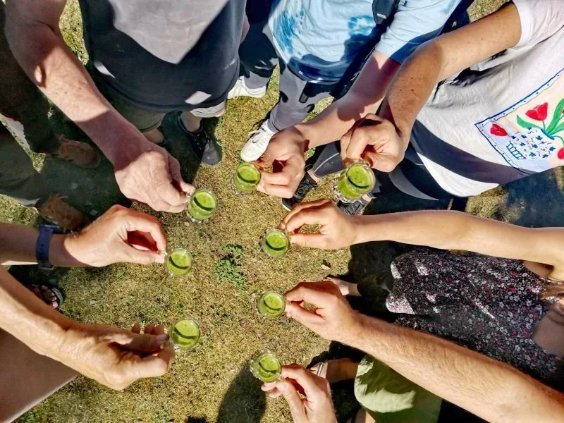 Ein Wildkräuter-Shot aus der Natur, frisch gespresst im Mai