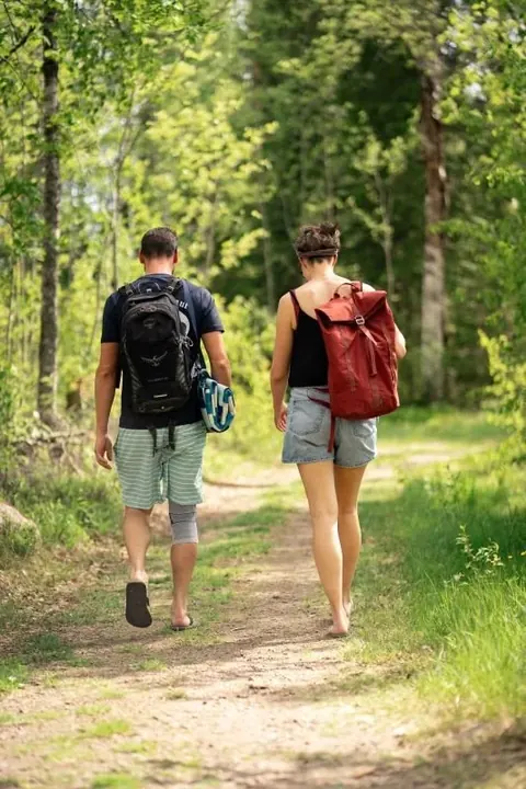 Zwei Wanderer von hinten auf einem Waldweg