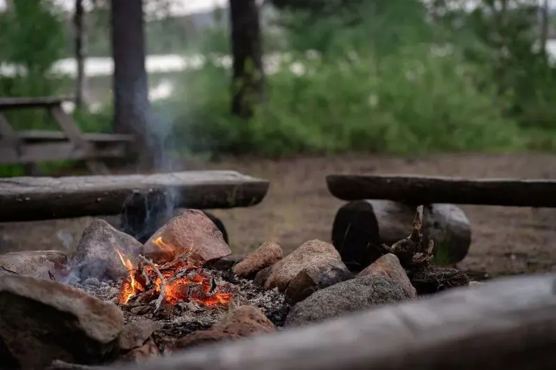 Lagerfeuer mit Sitzstämmen am Waldrand