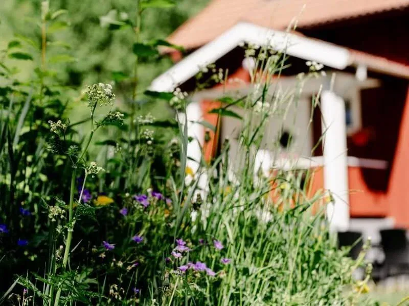 Kleines rotes Gartenhaus zwischen Blumen