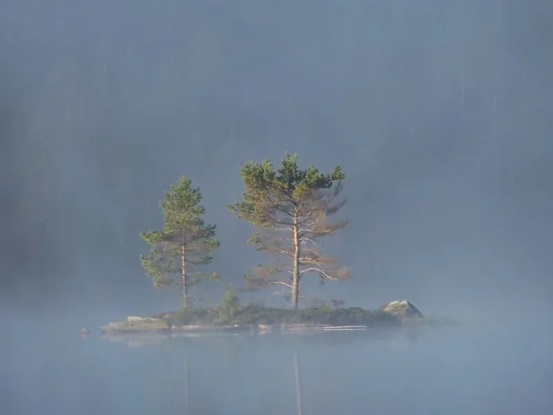 Nebel über dem See mit einer kleinen Insel