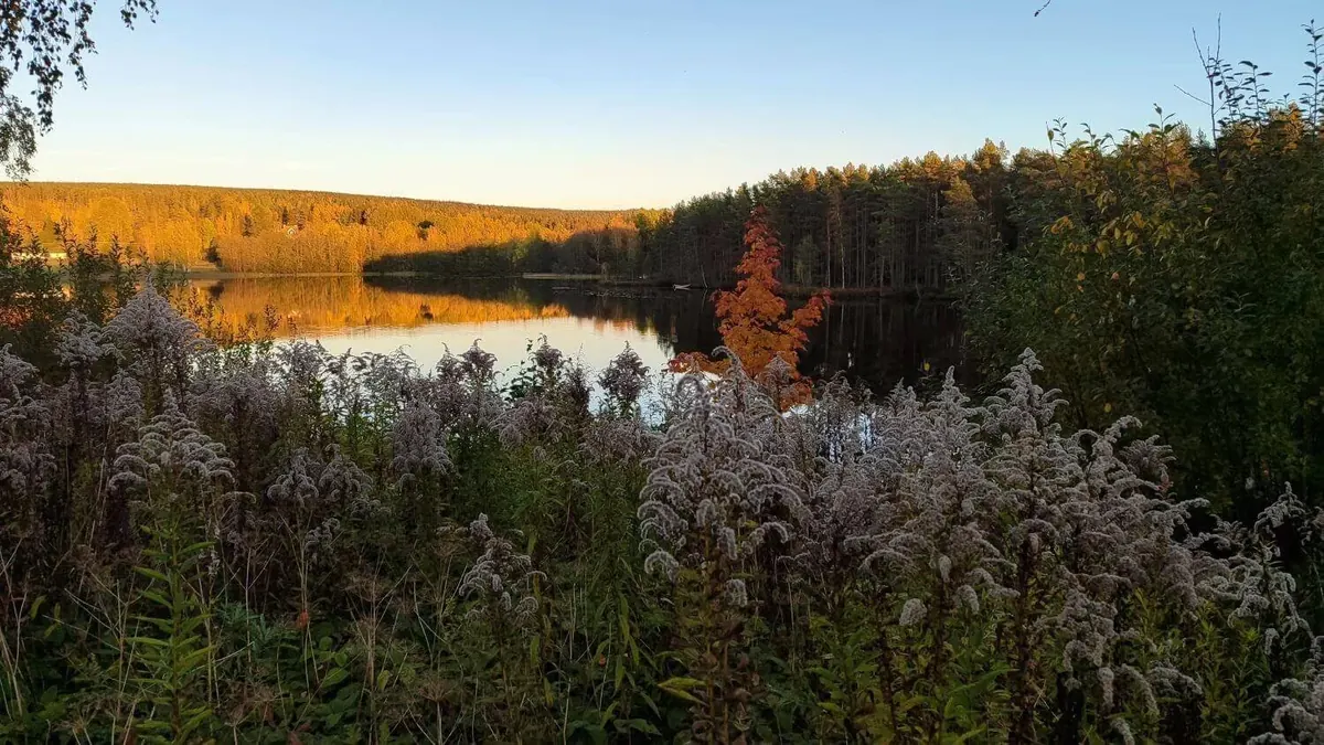 Herbstlicher See im Morgenlicht