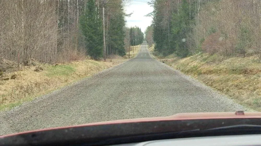 Schotterstraße durch den Wald