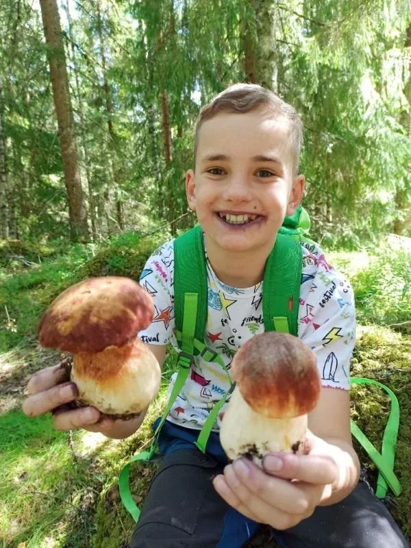Im Juli nach Schweden reisen: Blaubeerlippen und Pilzsuche