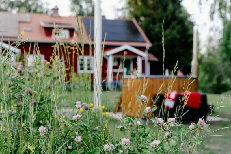 Rotes Haus hinter einer Blumenwiese